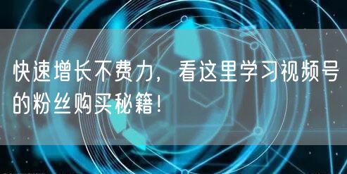快速增长不费力，看这里学习视频号的粉丝购买秘籍！