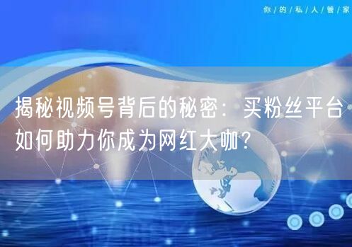 揭秘视频号背后的秘密：买粉丝平台如何助力你成为网红大咖？