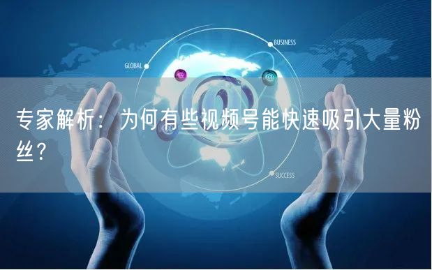 专家解析：为何有些视频号能快速吸引大量粉丝？