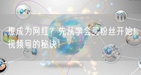 想成为网红？先从学会买粉丝开始！视频号的秘诀！