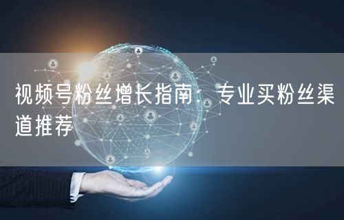 视频号粉丝增长指南：专业买粉丝渠道推荐