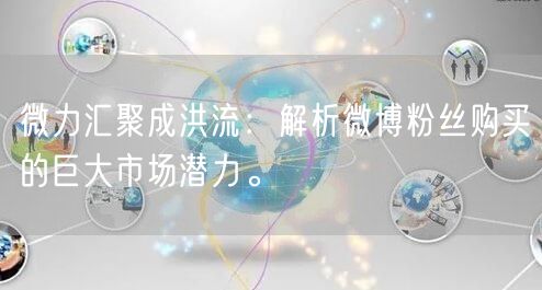 微力汇聚成洪流：解析微博粉丝购买的巨大市场潜力。