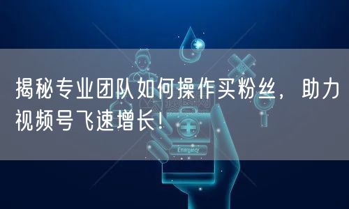 揭秘专业团队如何操作买粉丝，助力视频号飞