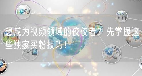 想成为视频领域的佼佼者？先掌握这些独家买